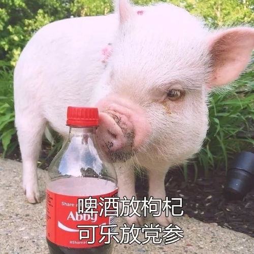  干了这碗养生汤,结束佛系养生吧
