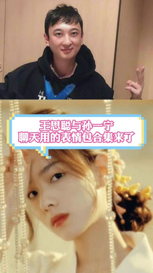  王思聪与孙一宁聊天用的表情包合集来了