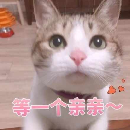  臭宝臭宝表情发表情fabiaoqing.com