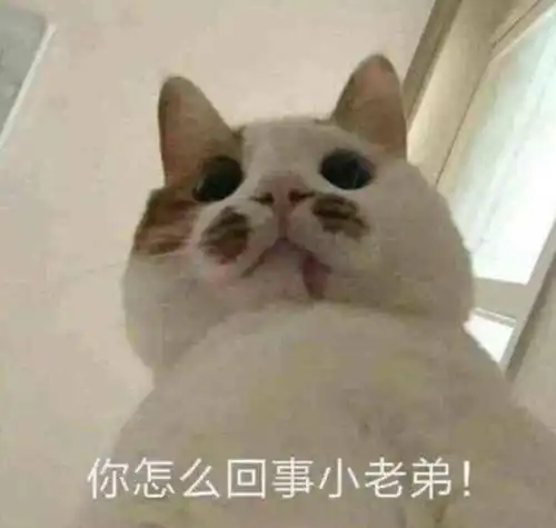 学生党斗图必备,最新沙雕表情包我枯了,你呢 学生党斗图必备,最新沙雕表情包我枯了,你呢