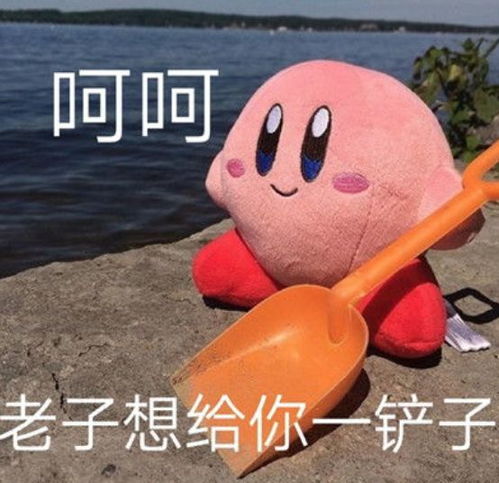  皮裤男星逼老婆自杀的瓜