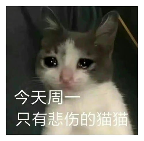  表情包一组有趣的表情包36期