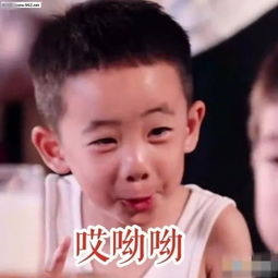  插足唐嫣恋情的圈内名三,从朱迅整成了baby