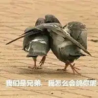 兄弟表情包 兄弟表情包