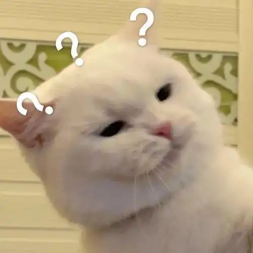 热门动漫头像 热门动漫头像