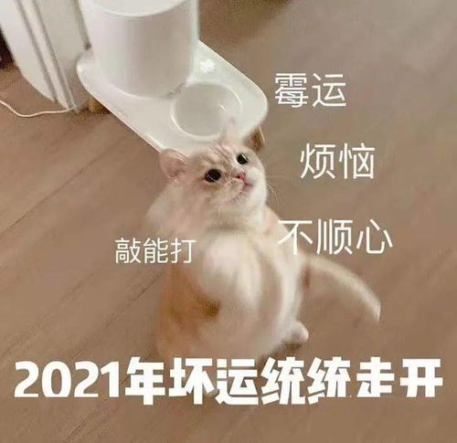 这魔幻的2020年过完了网友猝不及防 这魔幻的2020年过完了网友猝不及防