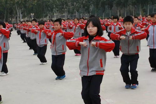  阳光运动快乐体育信都东校区四五年级第三套广播体操展示之一
