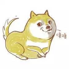  所有南宁人,今年冬天可能会冻哭