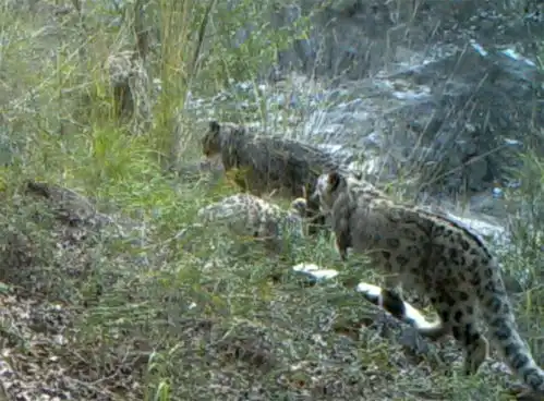 大陆_齐鲁网 大陆_齐鲁网