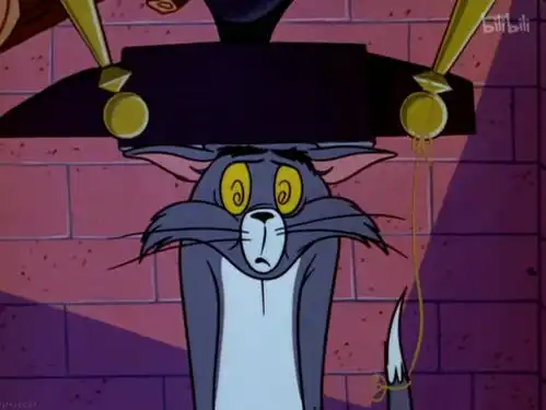 哔哩哔哩专栏 哔哩哔哩专栏