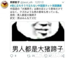  为玩中国游戏日本人有多拼学习中文表情包,把云玩家译成这样