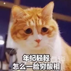  张亮麻辣烫宜山路店