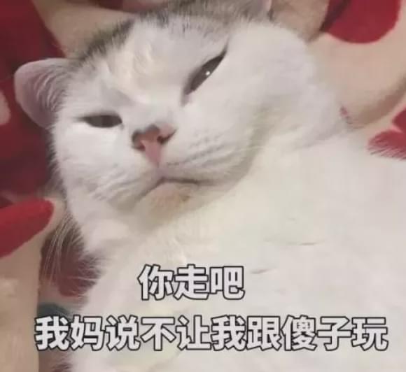  安卓版隔空投送来了,功能比苹果airdrop更强