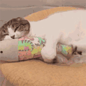 一百条朋友圈短句文案,美食自拍晚安,都有,太全了吧 一百条朋友圈短句文案,美食自拍晚安,都有,太全了吧