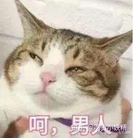  有一个宠女儿的爸爸是什么体验