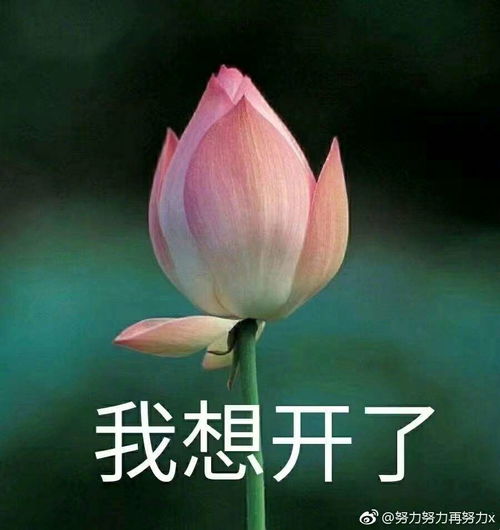  2019年10月自考时间规划
