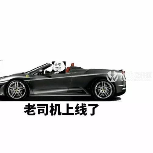 各路老司机的保险首选
