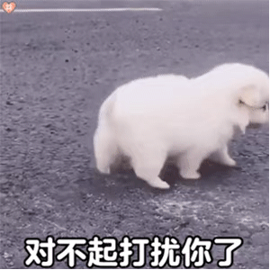  狗狗表情包系列