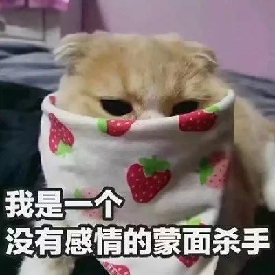  今日份的表情包