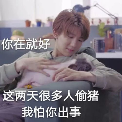  tfboys微信聊天表情包