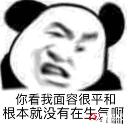  准备了好几周,只为了大物可惜,要不是见机快换钓位,就空军了