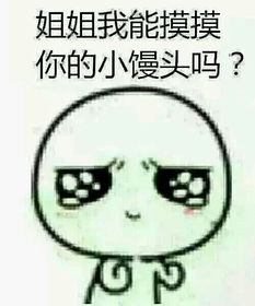  姐姐我能摸你的小馒头么原版表情叫什么