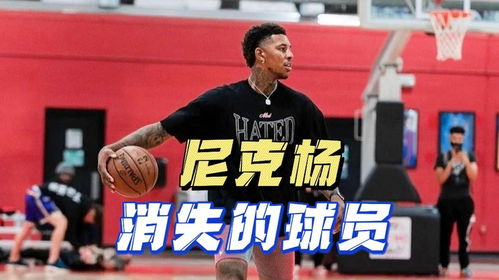  那些从nba消失的球员尼克杨