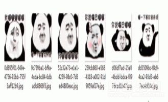  抖音熊猫头最火嘟嘟qq微信表情包熊猫头最火嘟嘟表情素材v1.0官方版软件下载