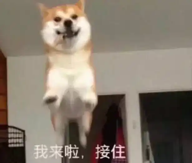 安慰奖表情包图片一颗红