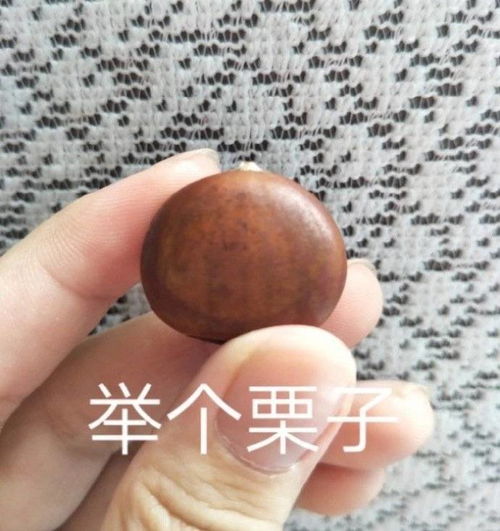  搞笑表情包合集这是什么疾苦人生