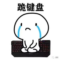  跪求原谅