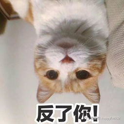  12月5日节目精编