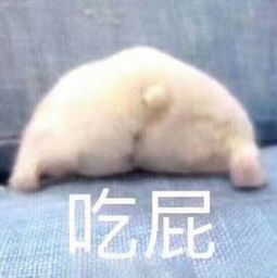  这个是情头吗