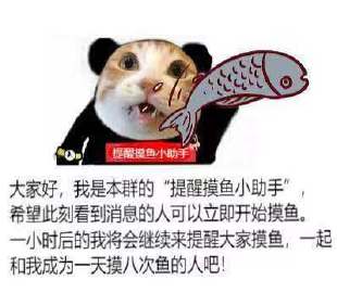  成都头条的微博微博