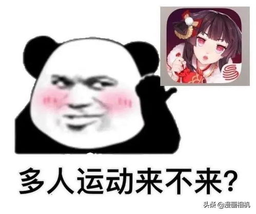  表情包在多人运动吗五排的那种