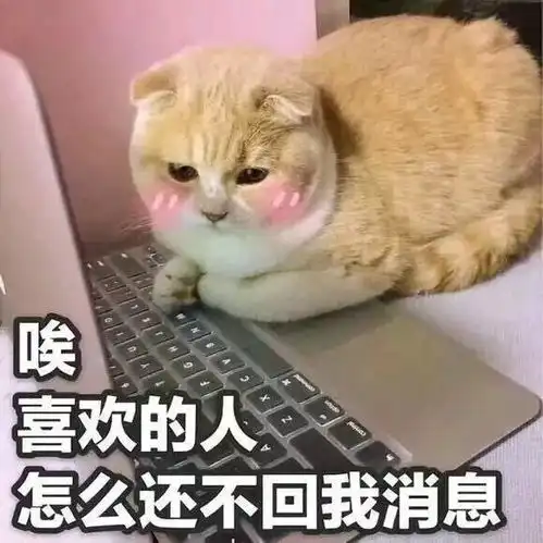  为什么很多人聊天都喜欢用猫咪表情包附最全猫咪表情包