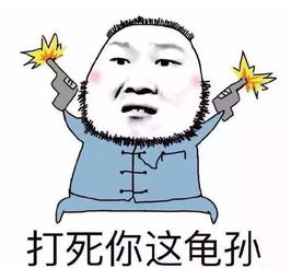  德云社少帅出征郭麒麟到郭德纲只差一个小岳岳