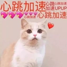  浪漫七夕,心之所向电波商城约惠攻略get一下