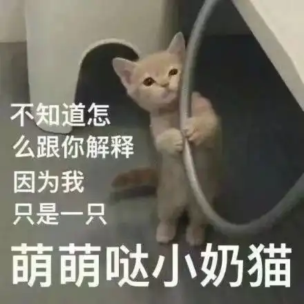 猫咪表情包小哥哥处对象吗 猫咪表情包小哥哥处对象吗
