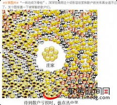  东莞时报多媒体数字报刊平台
