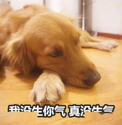  恋爱中女生爱说的反话有哪些
