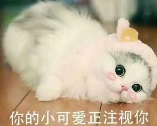 心细的男孩子怎么追呀 心细的男孩子怎么追呀