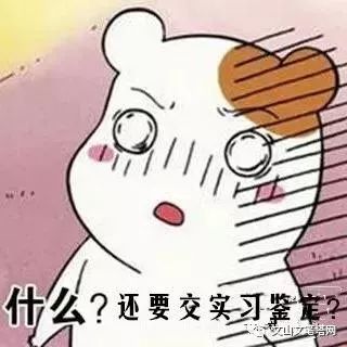  文山市沐童计划第二季暑期大学生志愿服务开始招募啦