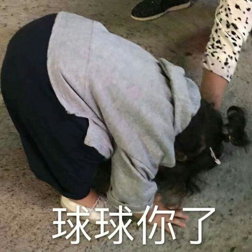 可爱的斗图表情包合集真的真的真的吗
