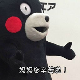  母亲节表白妈妈表情包下载熊本熊母亲节撩妈表情包无水印版极光下载站