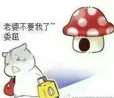小仓鼠表情包一组妻奴