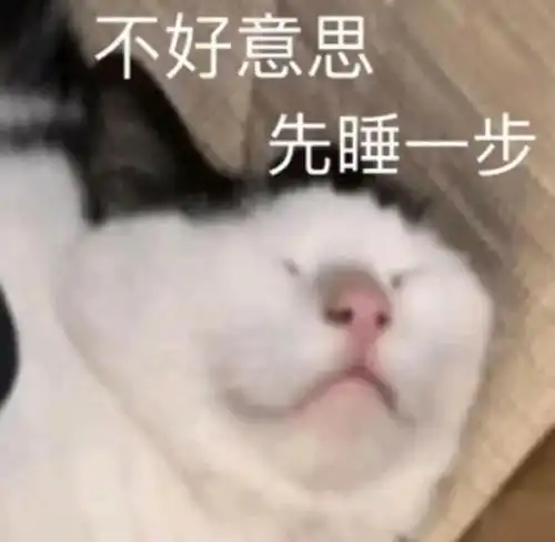 沙雕又可爱的朋友圈文案99.0 沙雕又可爱的朋友圈文案99.0