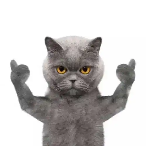 加拿大签证到底难不难签 加拿大签证到底难不难签