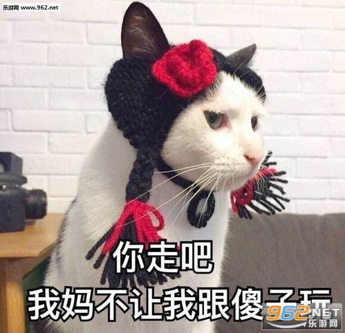 抖音最火表情包熊猫最火