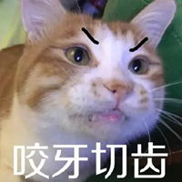 气的咬牙切齿的表情包